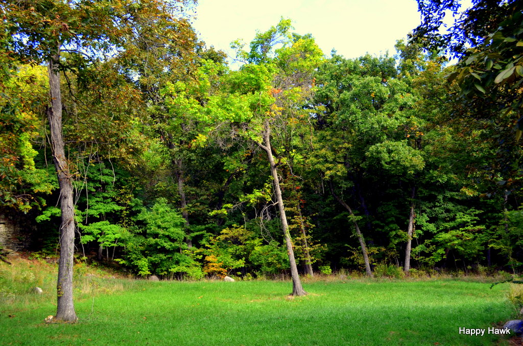 Beyond the cabin